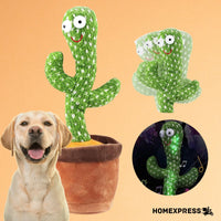 DanceDog® Cactus Bailarín Resistente para Perros